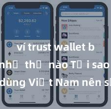 ví trust wallet bảo mật như thế nào Tại sao người dùng Việt Nam nên sử dụng Trust Wallet? Lợi ích và rủi ro