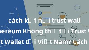 cách kết nối trust wallet với ethereum Không thể tải Trust Wallet tại Việt Nam? Cách khắc phục